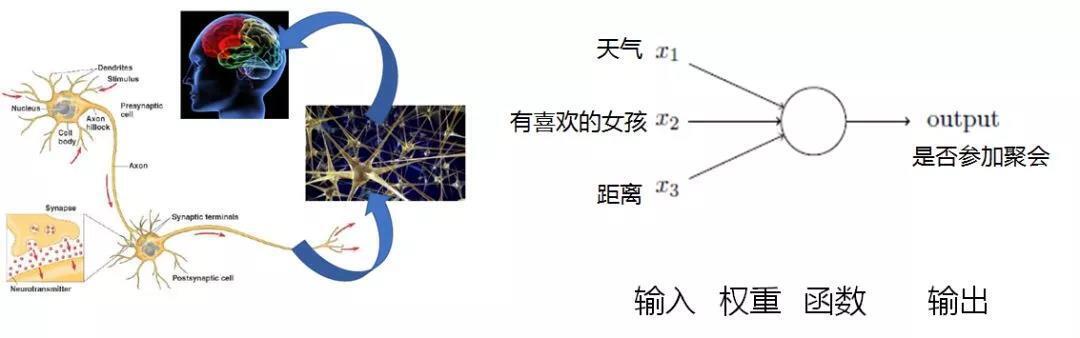 模擬大腦工作方式 模擬大腦工作方式